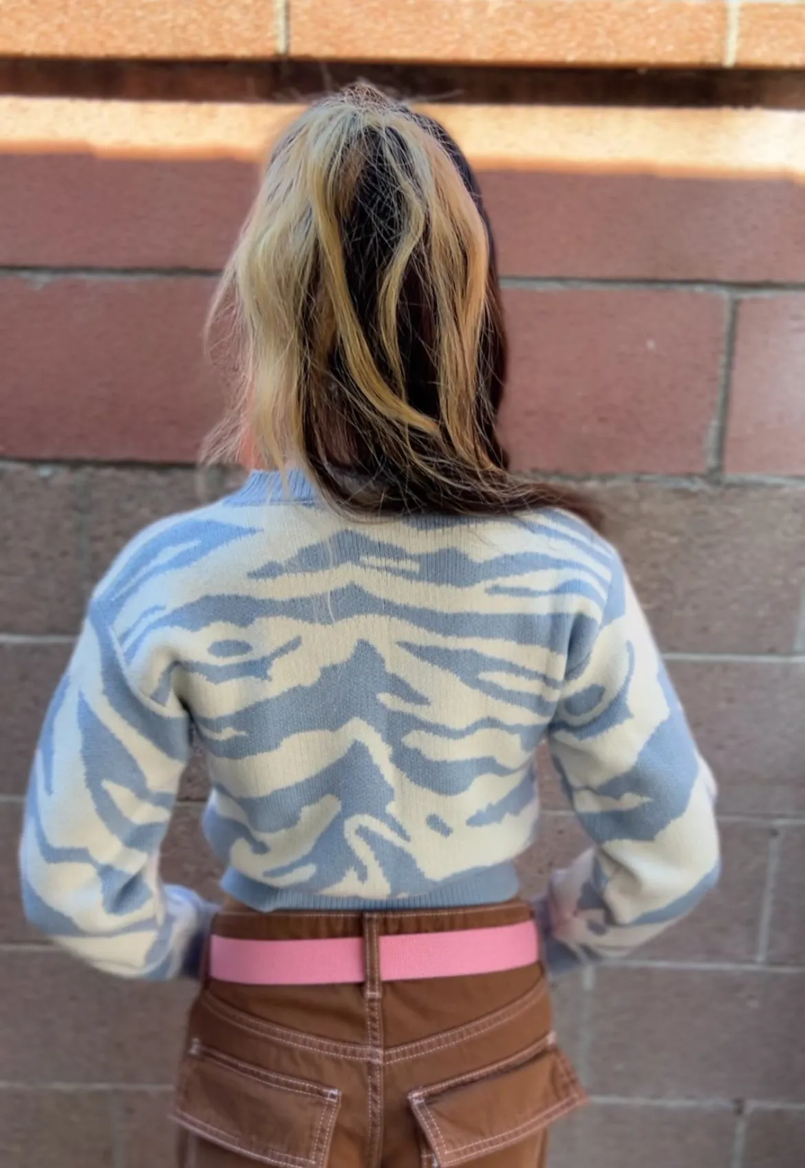 Light Blue Zebra Print Crop Sweater – Trendy Long Sleeve Knit Pullover