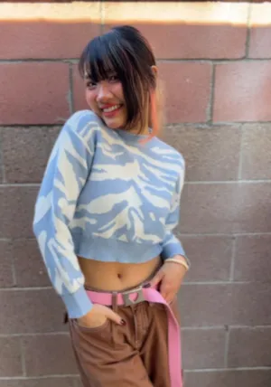 Light Blue Zebra Print Crop Sweater – Trendy Long Sleeve Knit Pullover